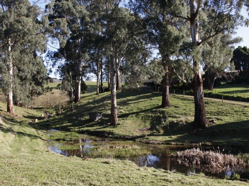 1016 Morwell  Thorpdale Road, Thorpdale VIC 3835