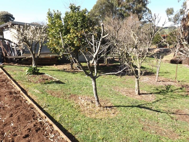1016 Morwell  Thorpdale Road, Thorpdale VIC 3835
