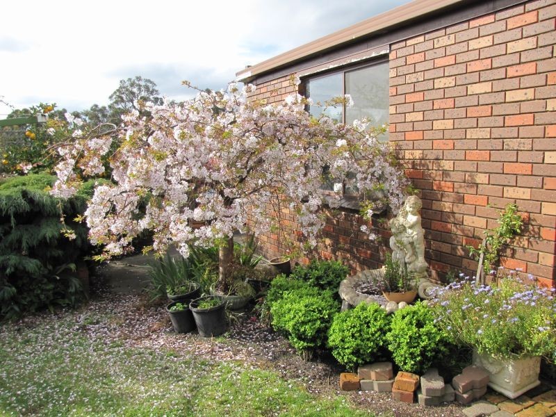 5 Avon Court, Newborough VIC 3825