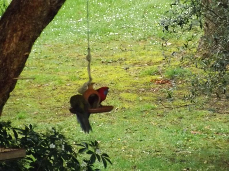 1067 Yarragon South Road, Trafalgar South VIC 3824