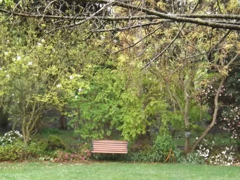 1067 Yarragon South Road, Trafalgar South VIC 3824