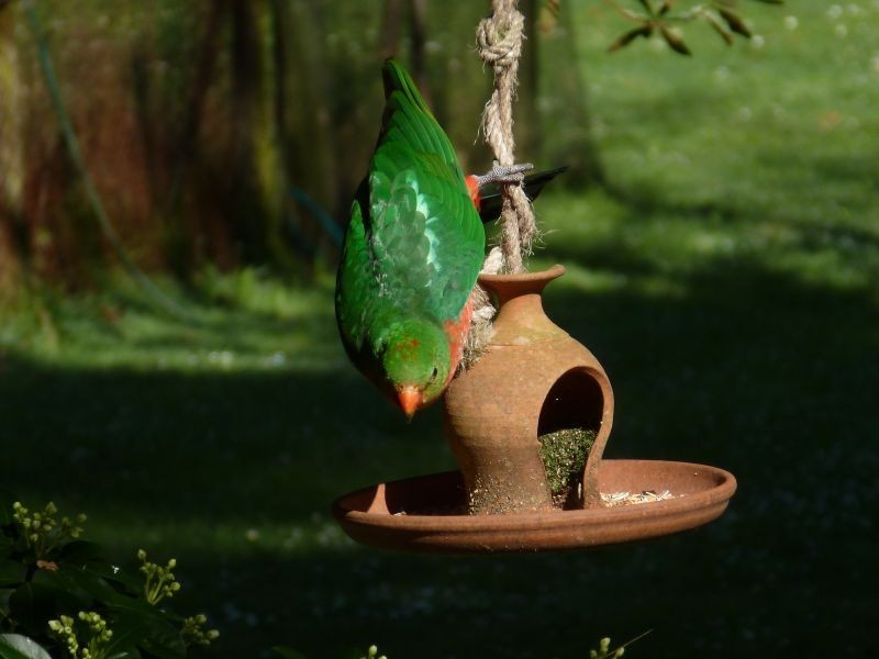 1067 Yarragon South Road, Trafalgar South VIC 3824