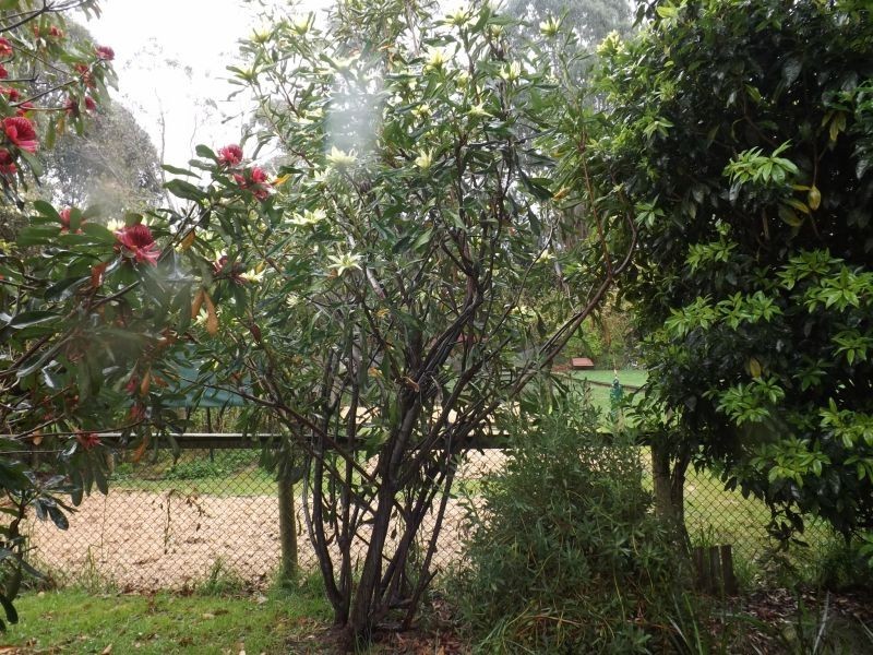 1067 Yarragon South Road, Trafalgar South VIC 3824