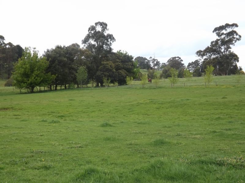 28 Roches Road, Trafalgar VIC 3824