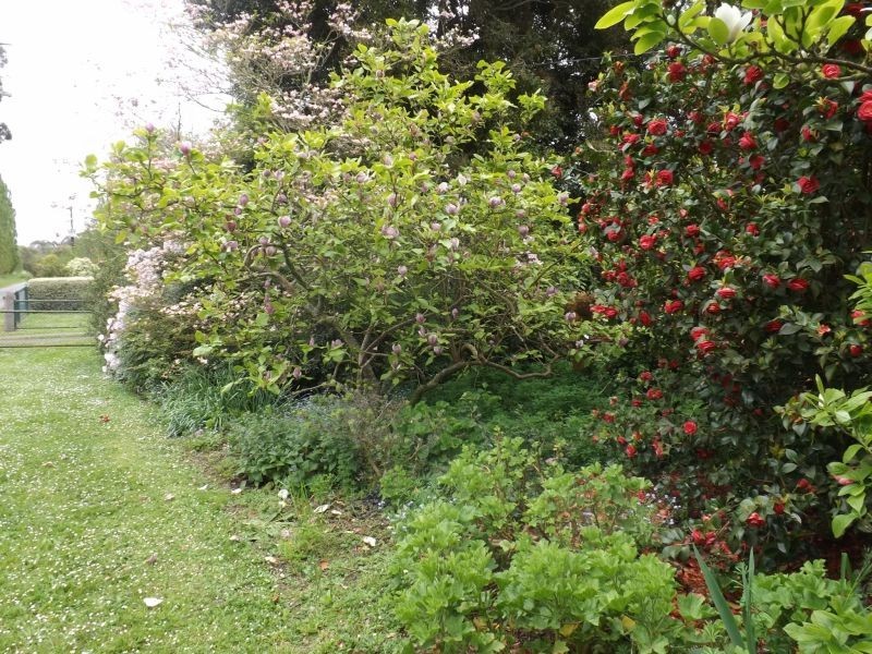 28 Roches Road, Trafalgar VIC 3824