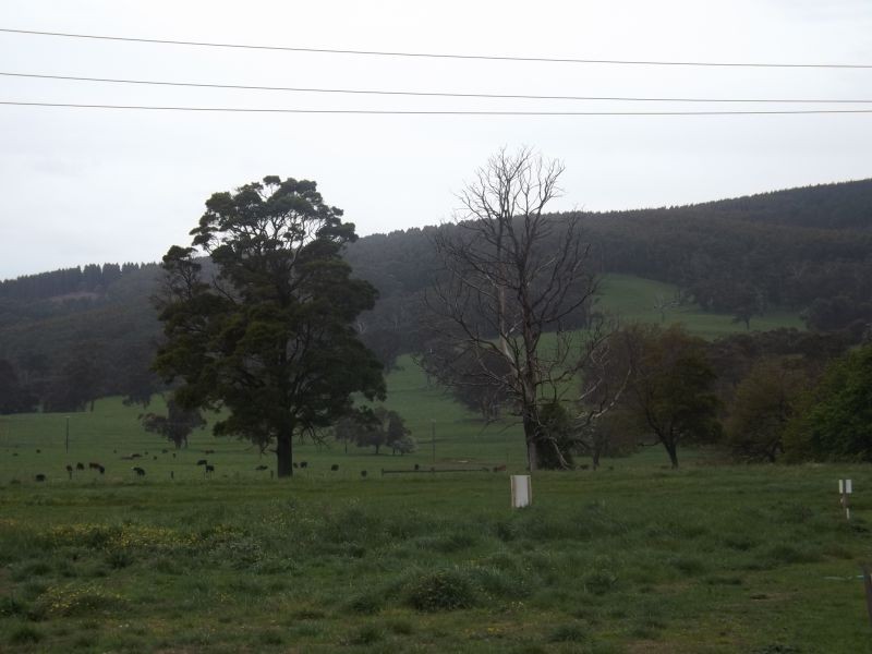 LOT 128 Berenger Drive, Trafalgar VIC 3824