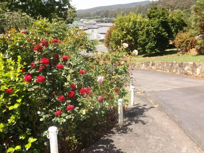 91 Thorpdale Road, Trafalgar VIC 3824