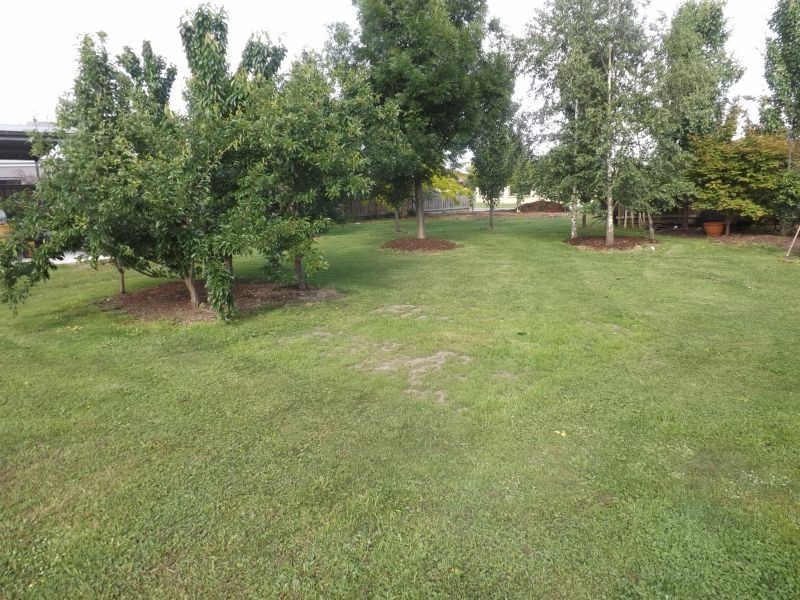 3 Rotheram Court, Trafalgar VIC 3824