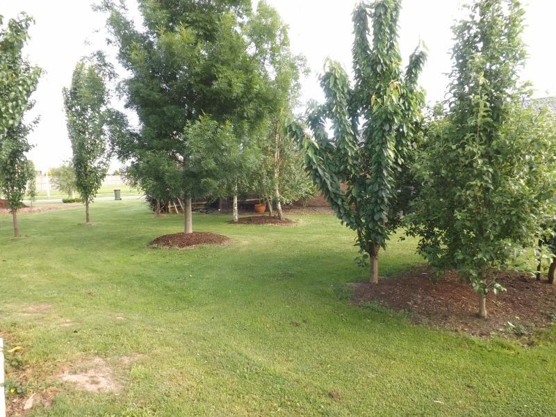 3 Rotheram Court, Trafalgar VIC 3824