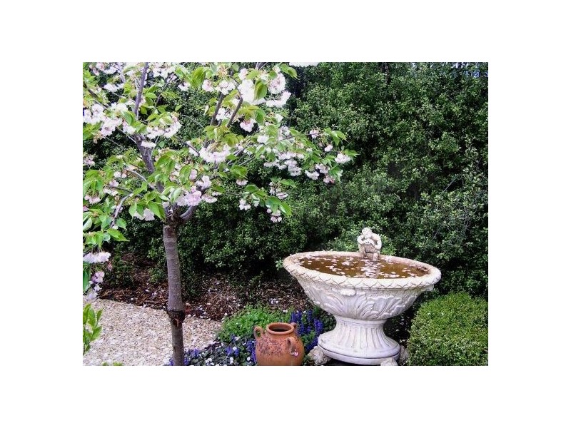 16 Campbell Street, Yarragon VIC 3823