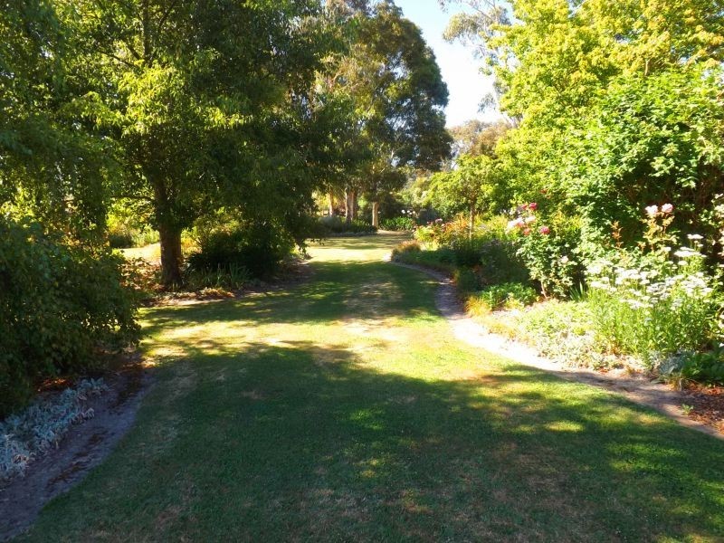 50 Summerlea Street, Trafalgar VIC 3824