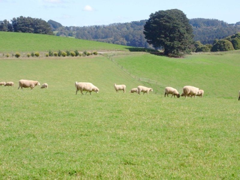 49 Childers Connection Road, Childers VIC 3824