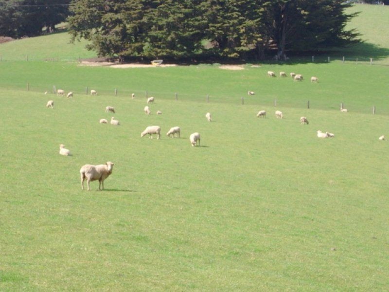 49 Childers Connection Road, Childers VIC 3824