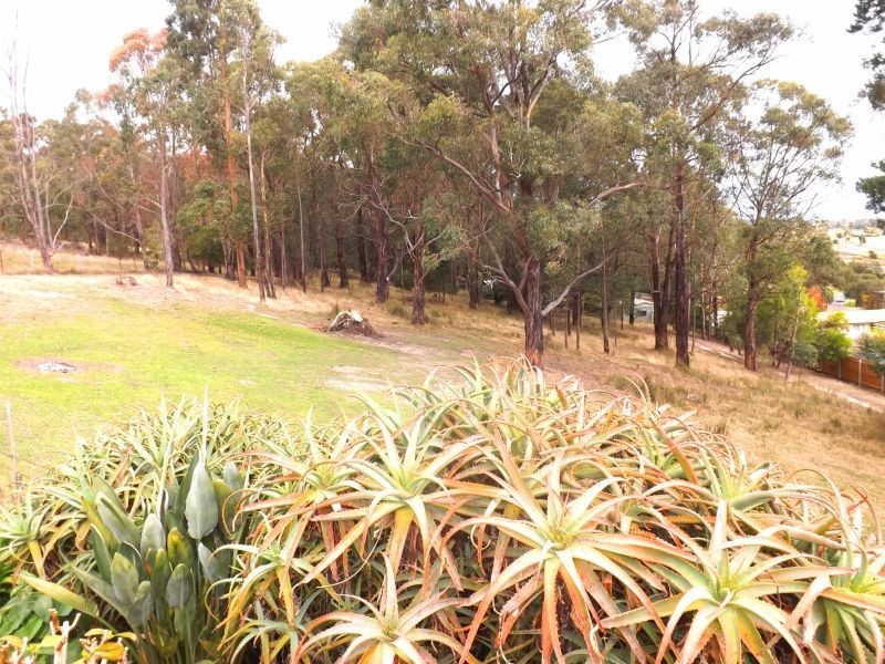 13 Cemetery Road, Trafalgar East VIC 3824