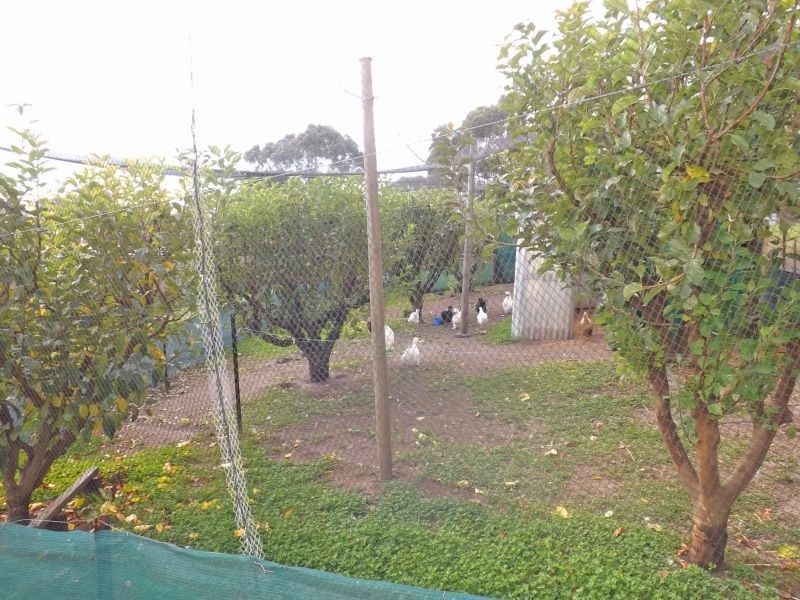 13 Cemetery Road, Trafalgar East VIC 3824