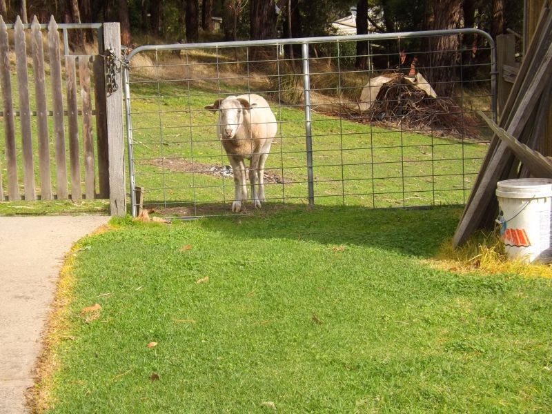 13 Cemetery Road, Trafalgar East VIC 3824