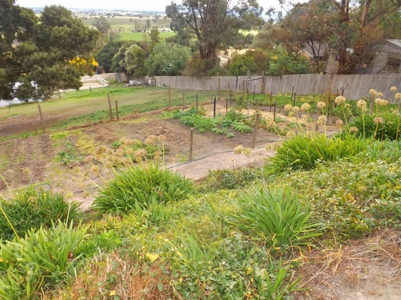 13 Cemetery Road, Trafalgar East VIC 3824