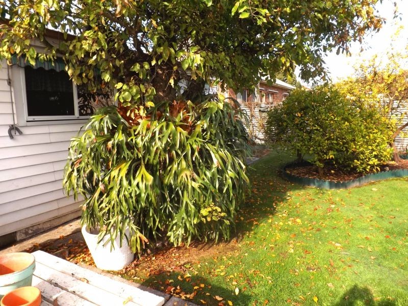 29 Anzac Road, Trafalgar VIC 3824