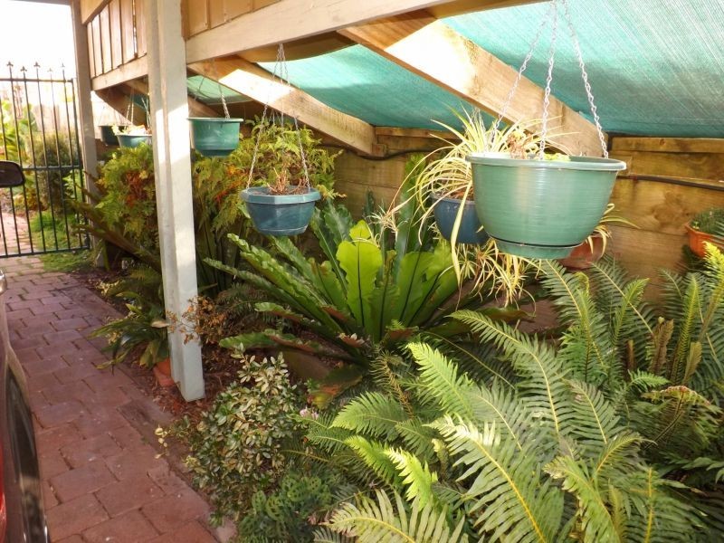 41 School Road, Trafalgar VIC 3824