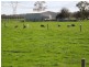 197 Willow Grove Road, Trafalgar VIC 3824