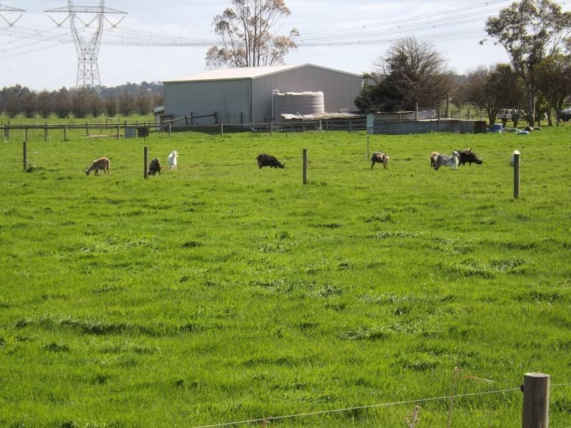 197 Willow Grove Road, Trafalgar VIC 3824
