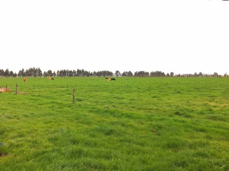197 Willow Grove Road, Trafalgar VIC 3824