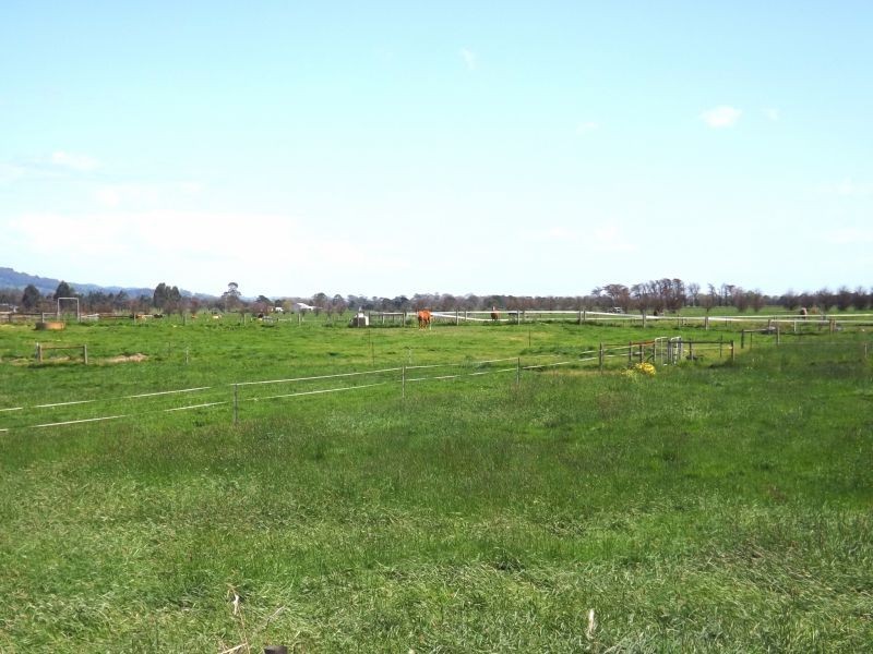 197 Willow Grove Road, Trafalgar VIC 3824