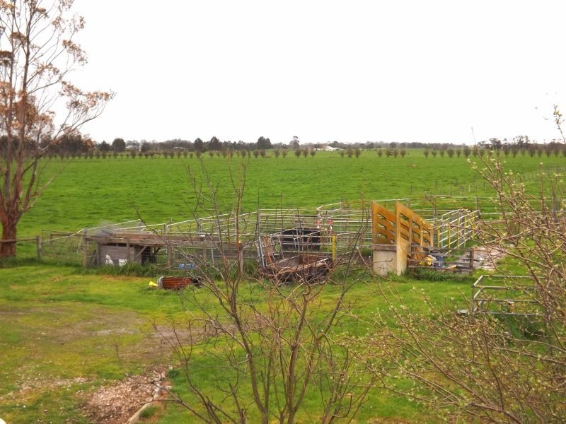 197 Willow Grove Road, Trafalgar VIC 3824