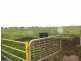 197 Willow Grove Road, Trafalgar VIC 3824