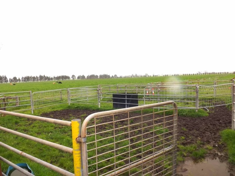 197 Willow Grove Road, Trafalgar VIC 3824