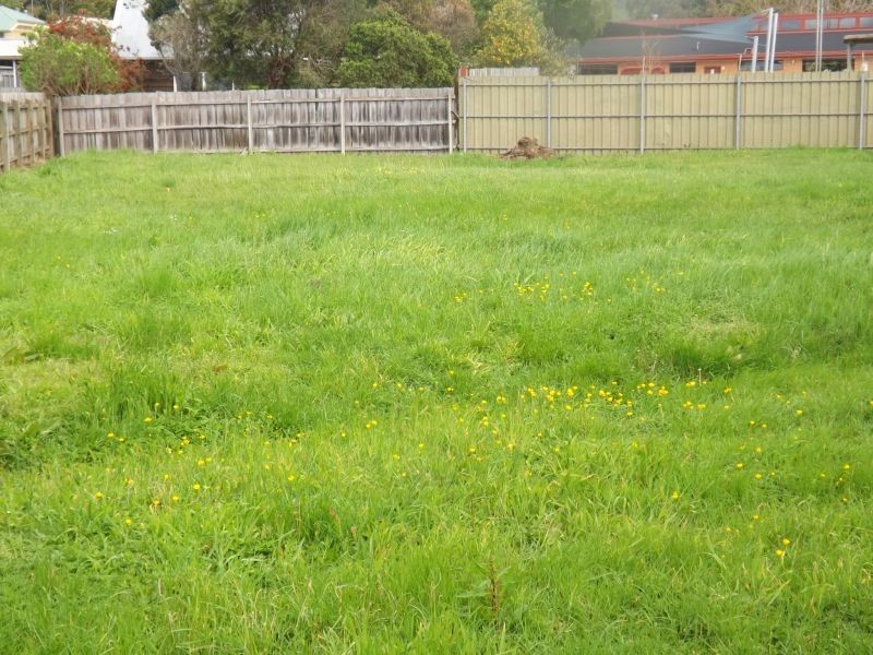 51 Kitchener Street, Trafalgar VIC 3824