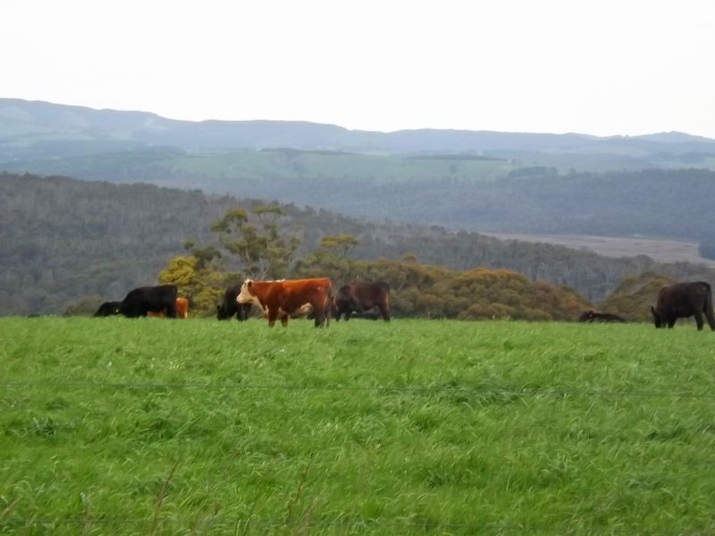 Lot 2, 16 Stephens Road, Mirboo North VIC 3871