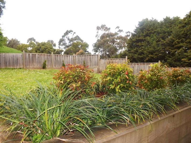 2 Rogers Road, Trafalgar VIC 3824