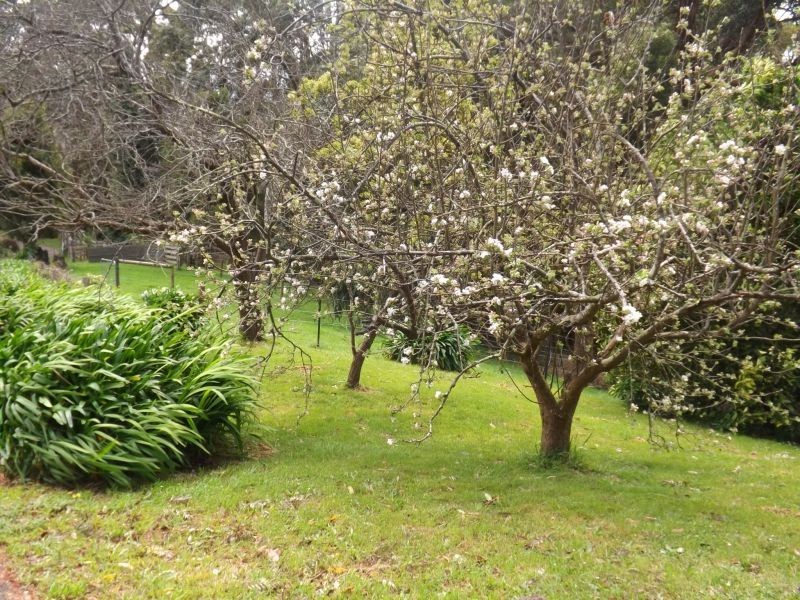 2 Rogers Road, Trafalgar VIC 3824