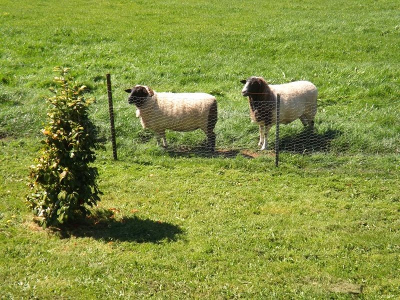 588 Russell Creek Road, Hill End VIC 3825