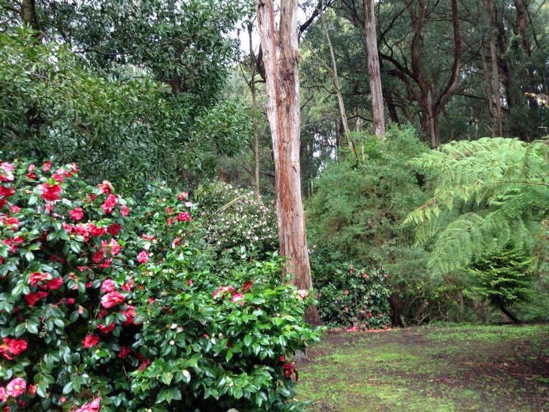 1071 Yarragon South Road, Trafalgar VIC 3824