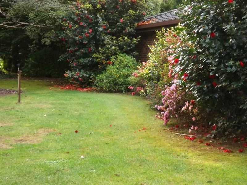 1071 Yarragon South Road, Trafalgar VIC 3824