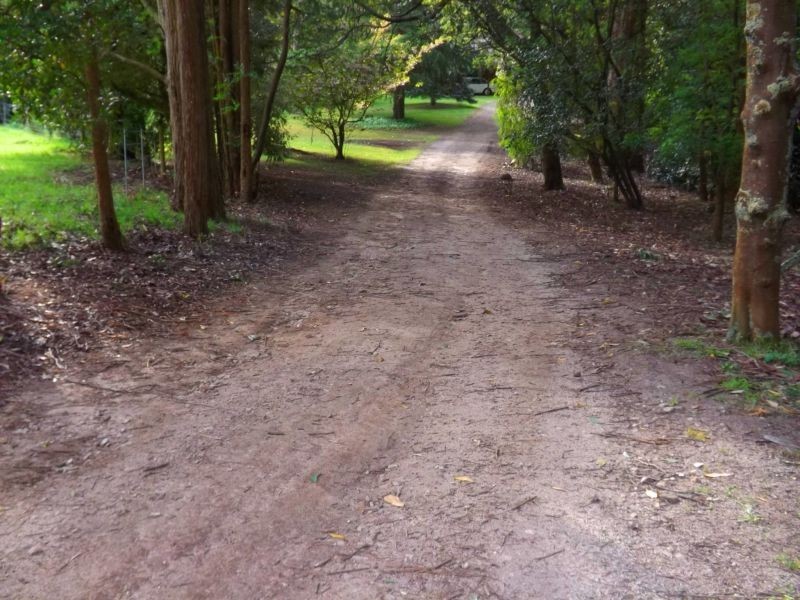 1071 Yarragon South Road, Trafalgar VIC 3824