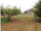 2052 McDonalds Track, Thorpdale VIC 3835