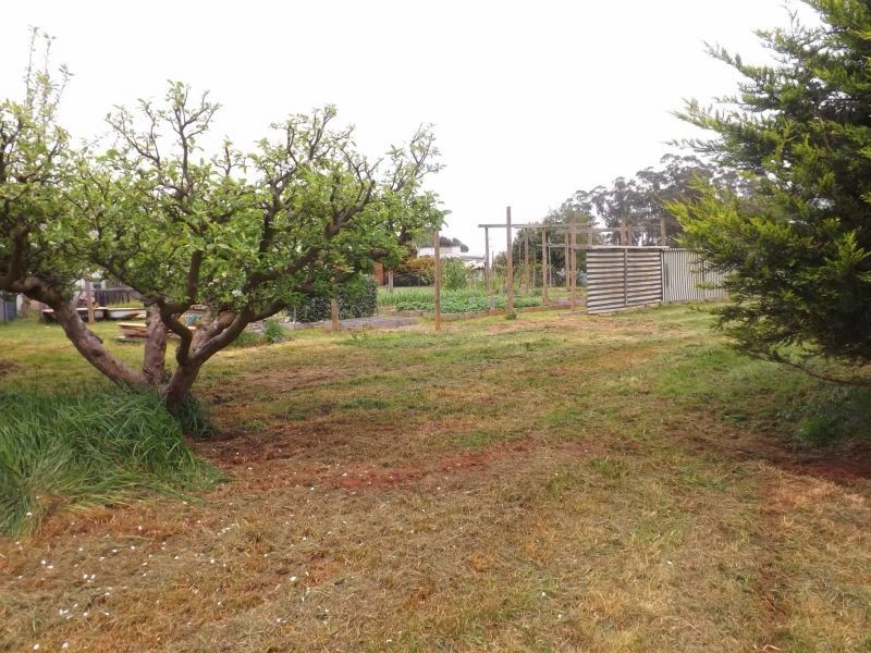 2052 McDonalds Track, Thorpdale VIC 3835