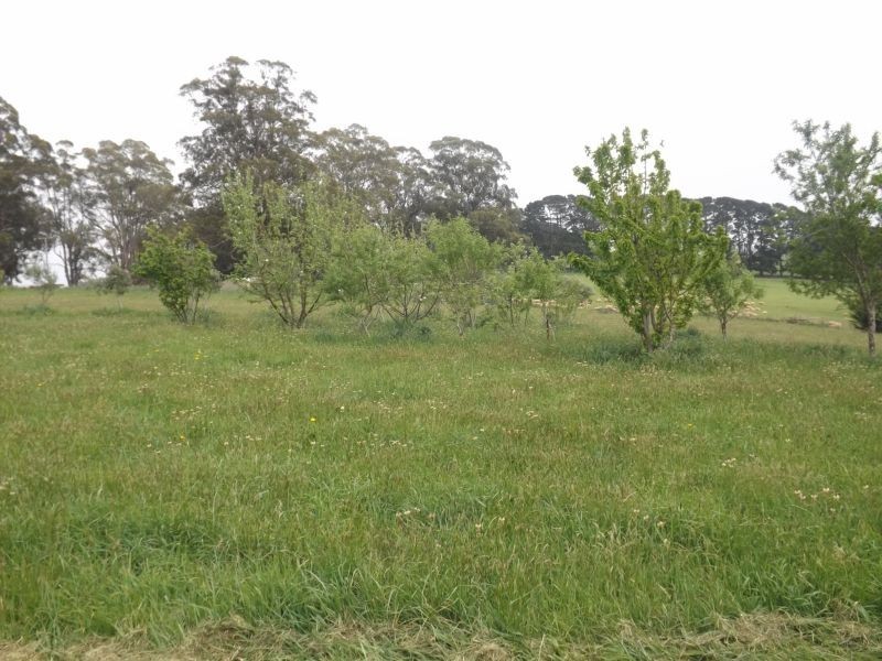 2052 McDonalds Track, Thorpdale VIC 3835