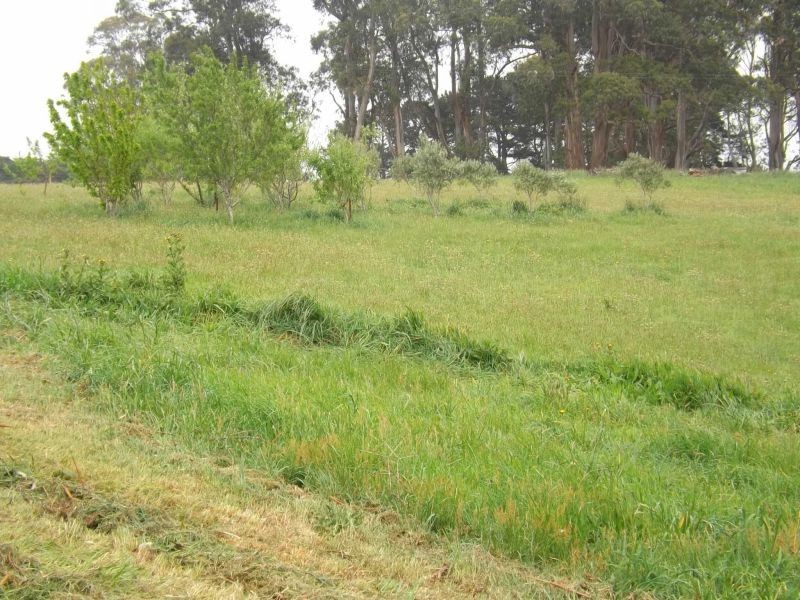 2052 McDonalds Track, Thorpdale VIC 3835
