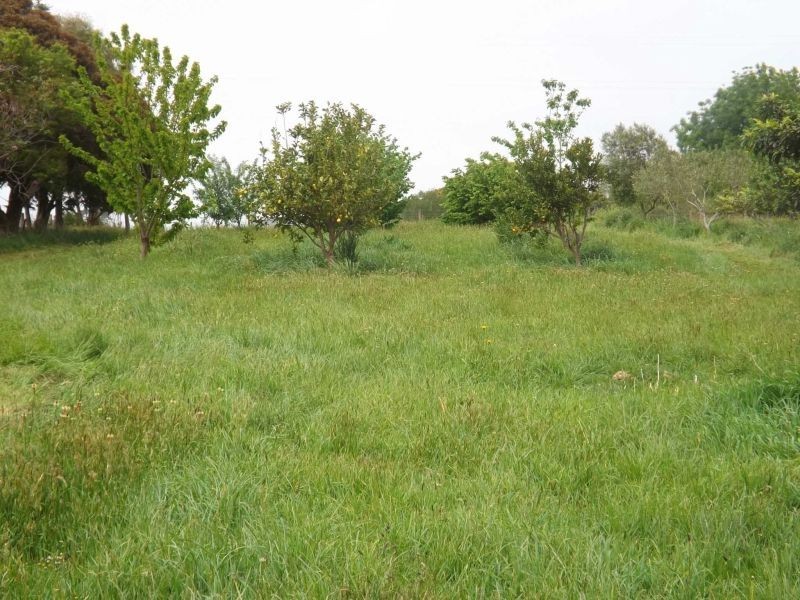 2052 McDonalds Track, Thorpdale VIC 3835