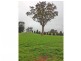 2052 McDonalds Track, Thorpdale VIC 3835