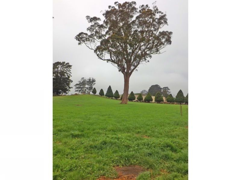 2052 McDonalds Track, Thorpdale VIC 3835