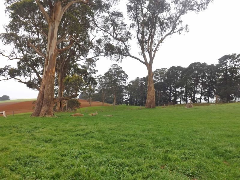 2052 McDonalds Track, Thorpdale VIC 3835
