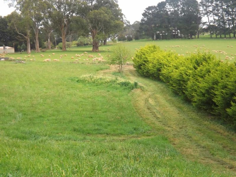 2052 McDonalds Track, Thorpdale VIC 3835