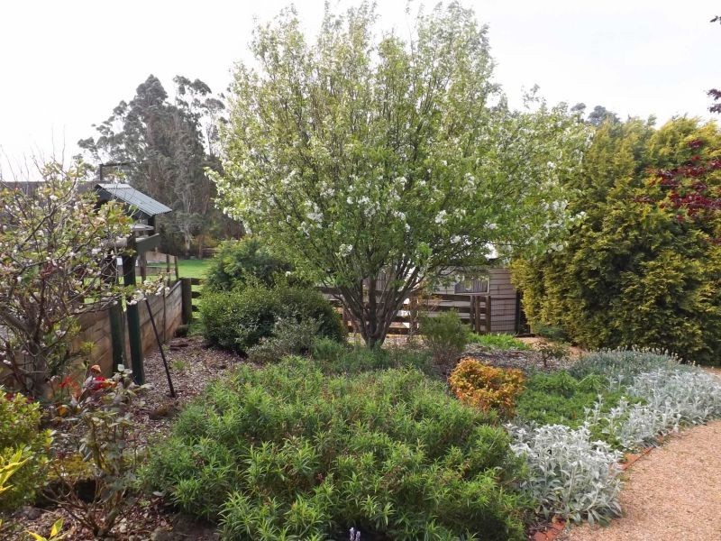 33 Walnut Road, Trafalgar South VIC 3824