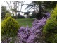 33 Walnut Road, Trafalgar South VIC 3824
