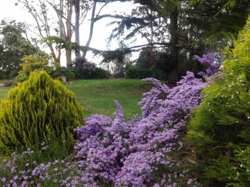 33 Walnut Road, Trafalgar South VIC 3824